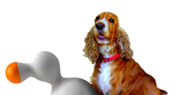 directory japanesse doggy style directory japanesse doggy style